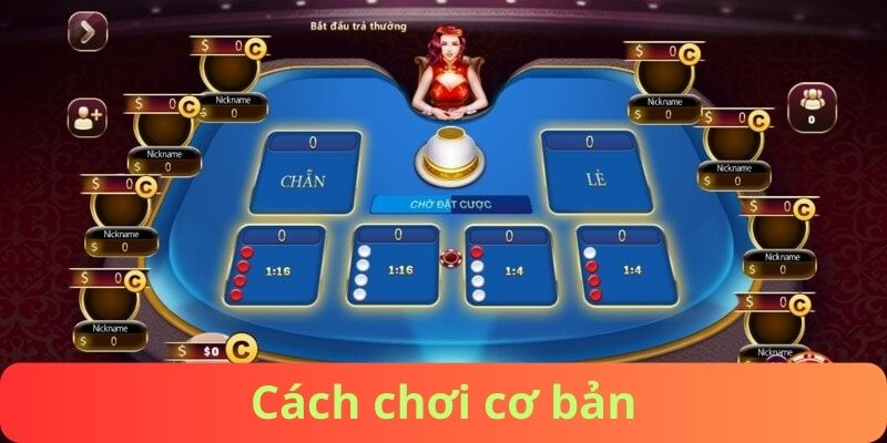 Cách chơi cơ bản 